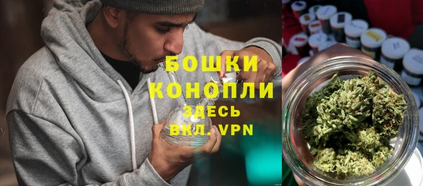 винт Верея