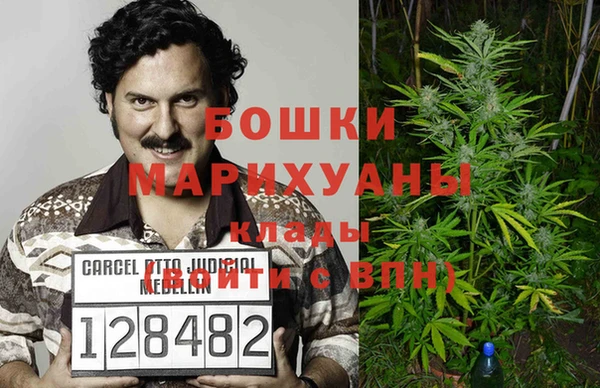 винт Верея