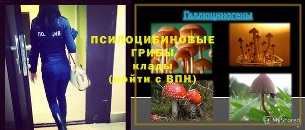 ECSTASY Верхний Тагил