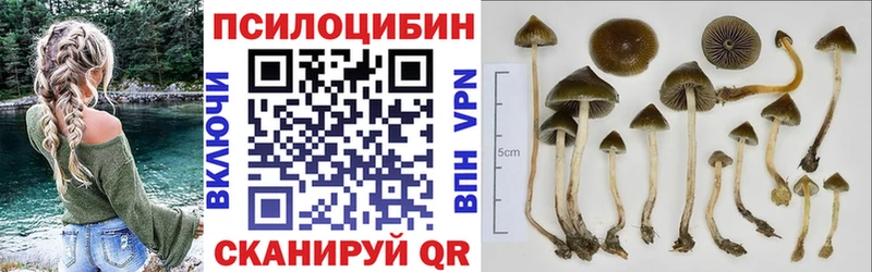 купить закладку  Облучье  Псилоцибиновые грибы ЛСД 